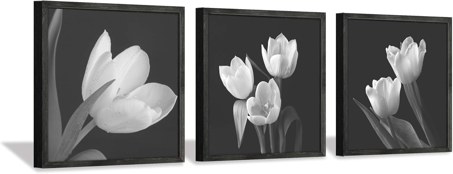 Black Wall Art — 16" — Black and white picture