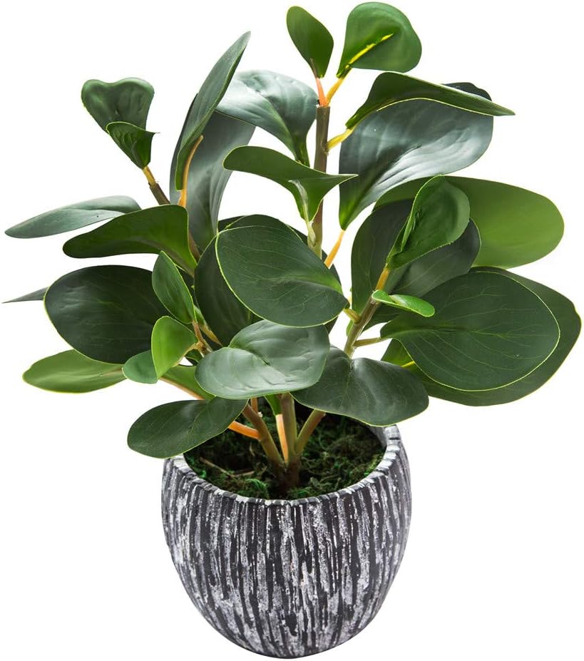 Boho Green Artificial Plant — 18.8" — Green Fiddle Leaf Fig Plant