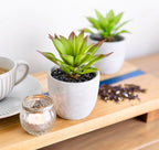 Farmhouse Faux Plant — Set of 2 - View 5