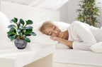 Farmhouse Green Faux Plant - View 10
