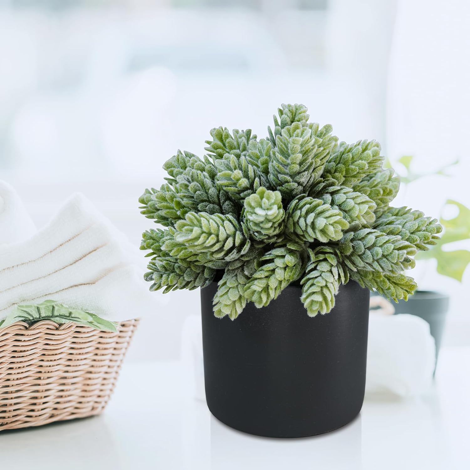 Black Artificial Plant — Set of 3 - View 8