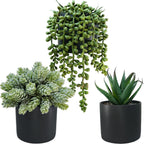 Black Artificial Plant — Set of 3 — Black Ceramic Pots