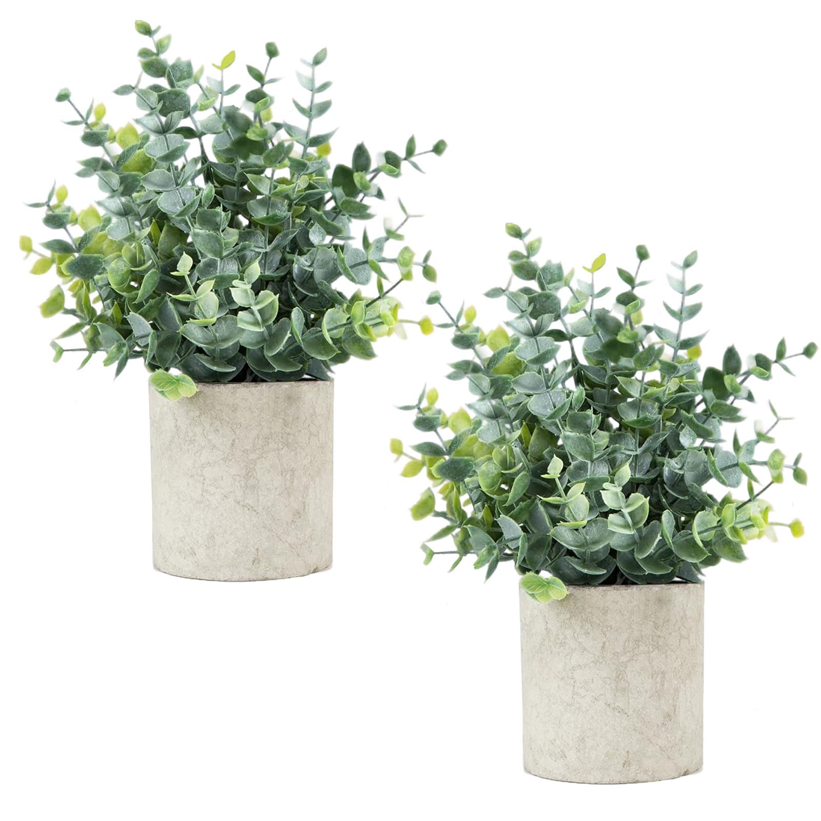 Farmhouse Black Artificial Plant