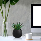 Black Artificial Plant — Set of 3 - View 9