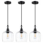 Farmhouse Black Ceiling Light — 1-Light