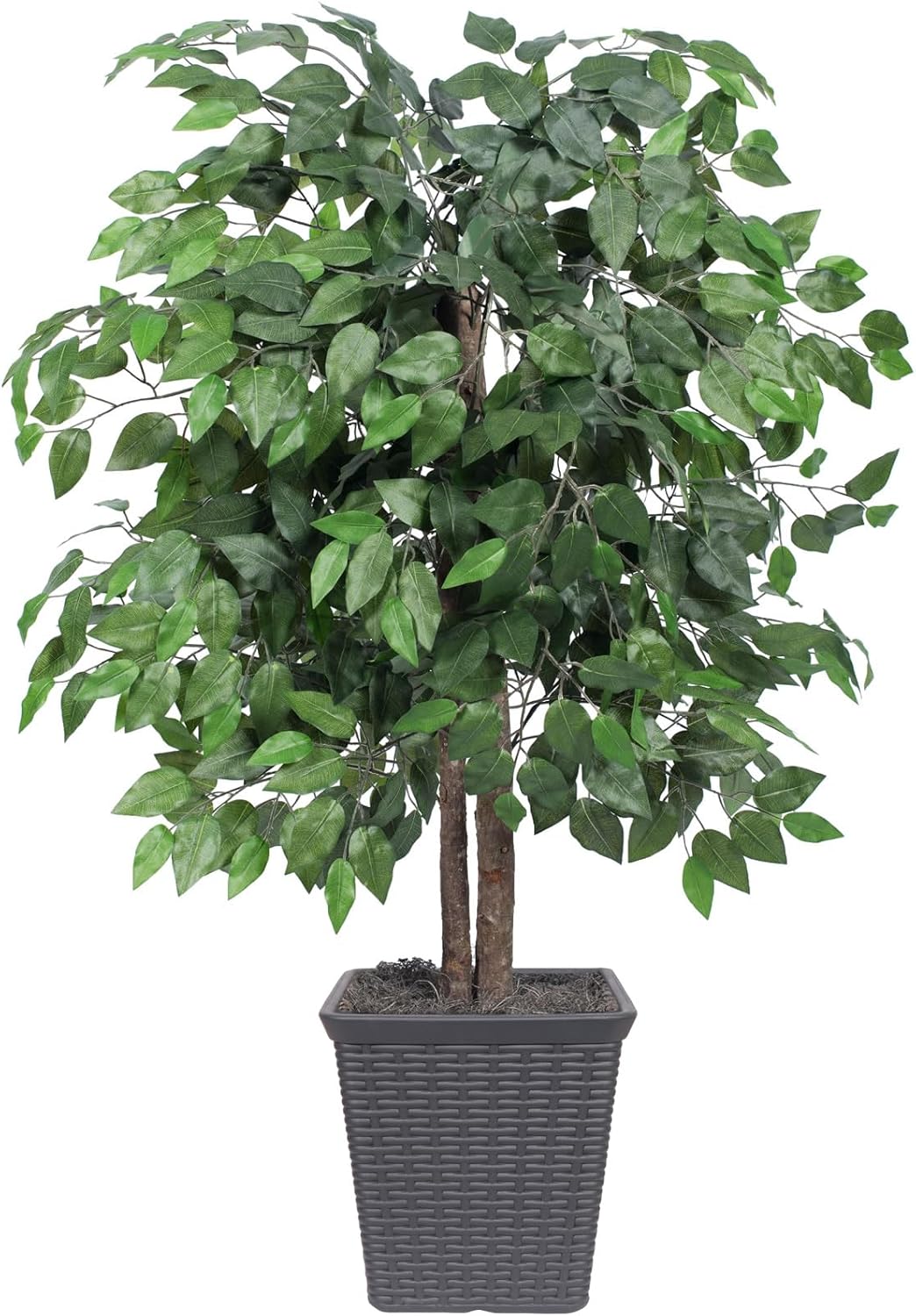 Rattan Faux Plant — 5" — Square Plastic Pot