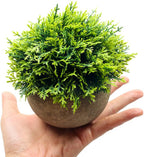 Farmhouse Artificial Plant - View 2