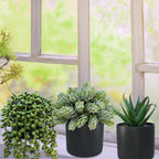 Black Artificial Plant — Set of 3 - View 3