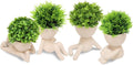Beige Faux Succulent — Cream Color