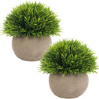 Farmhouse Artificial Plant