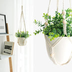 Boho Rattan Faux Plant - View 2