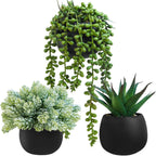 Black Artificial Plant — Set of 3