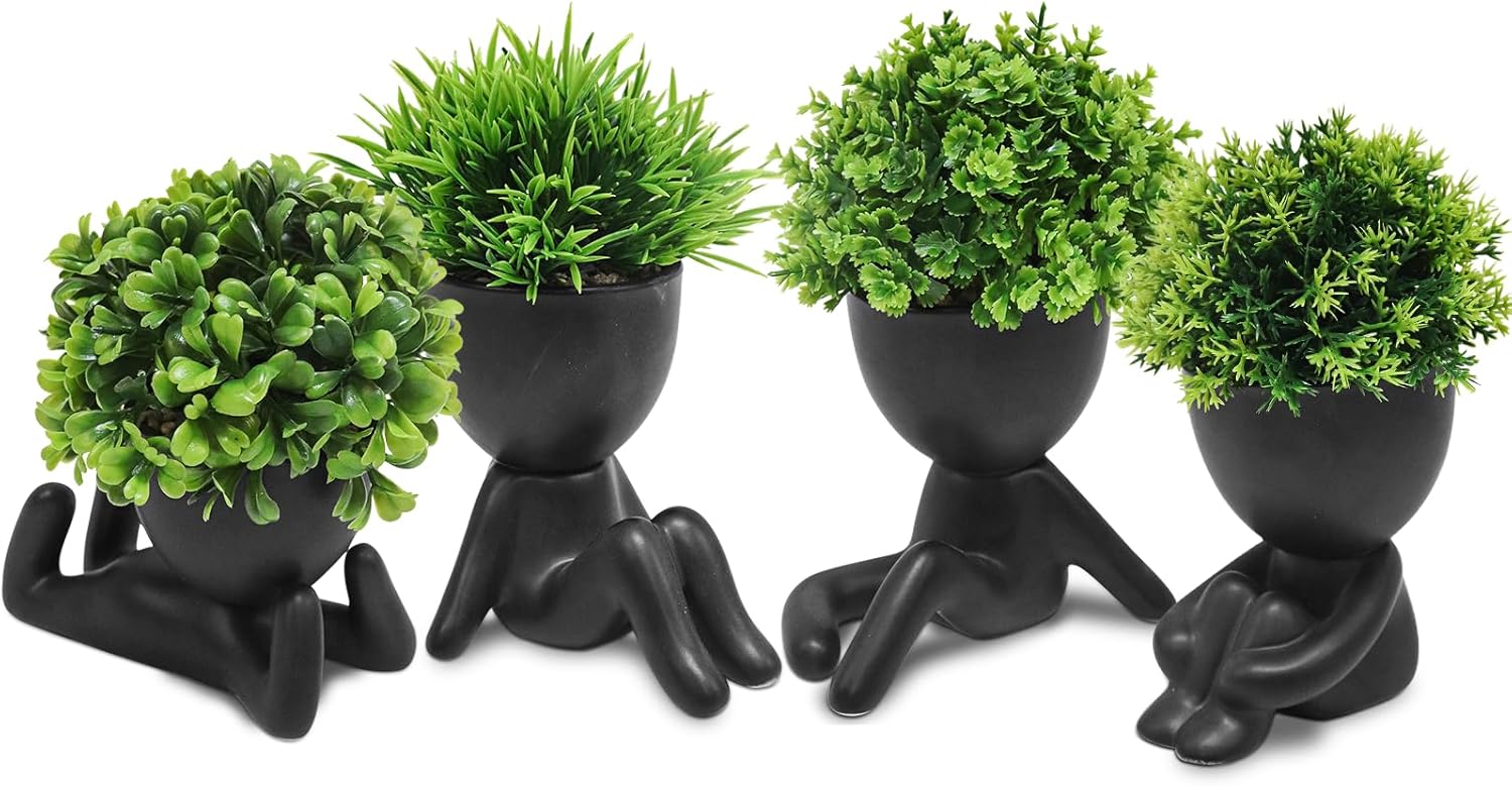 Beige Faux Succulent — Black