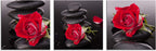 Beige Canvas Wall Art — 12" - View 2