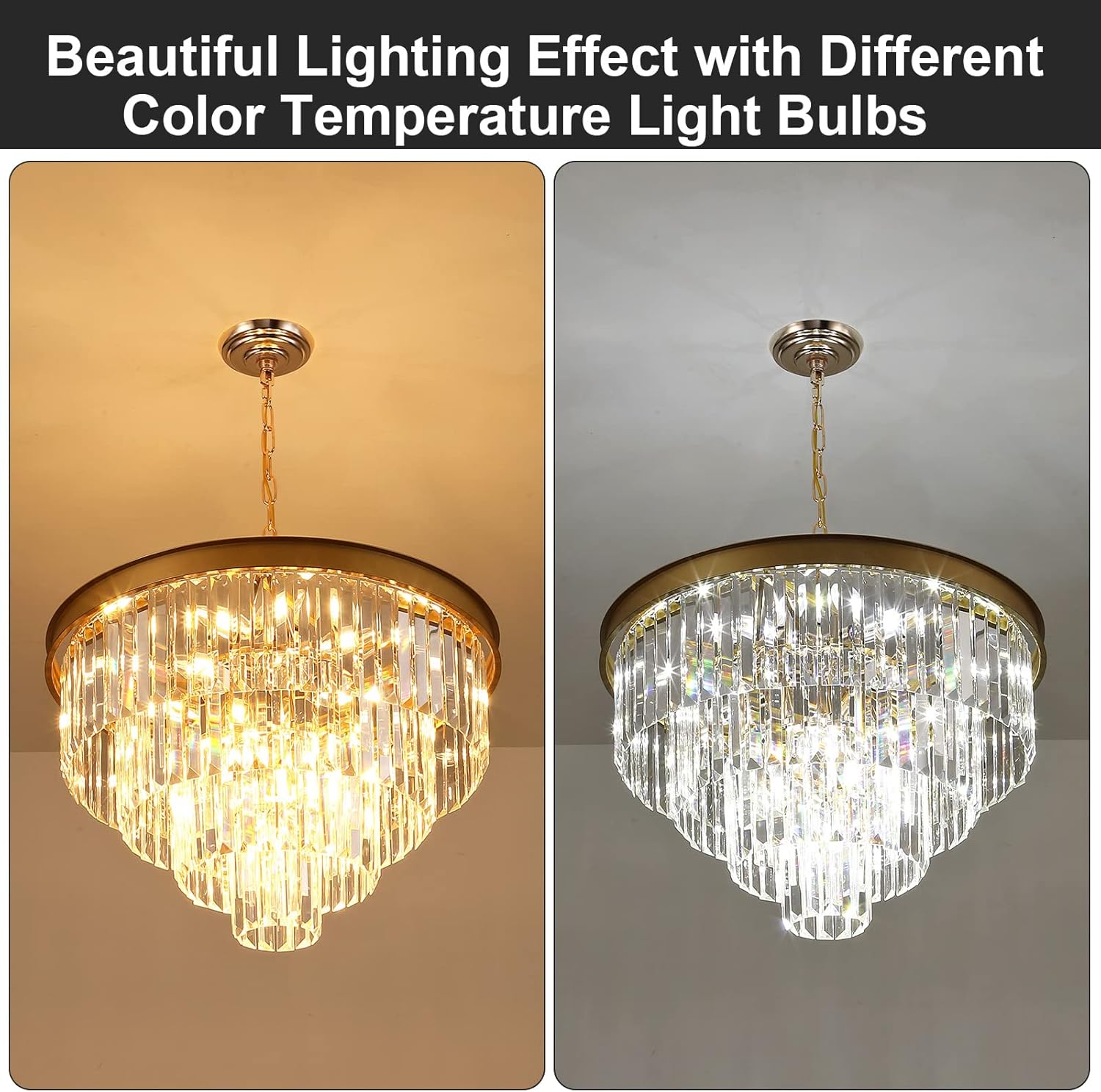 Round Luxe Black Chandelier — 12-Light - View 8