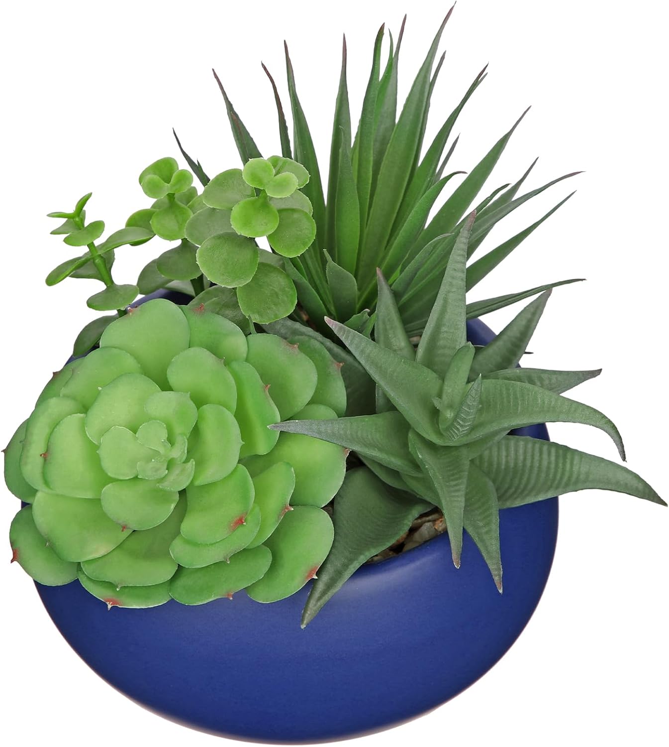 Black Faux Succulent — Matte Blue