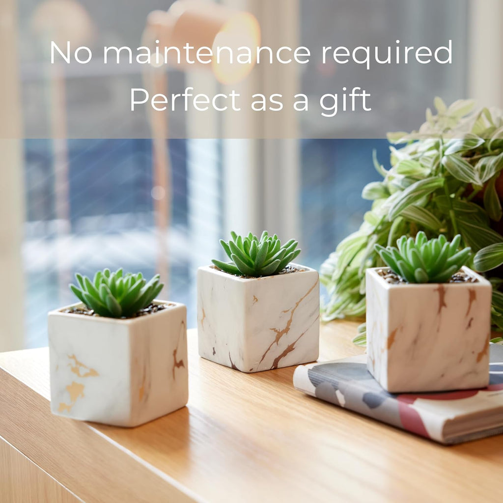 Luxe Black Faux Plant — Set of 3 - View 4
