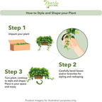 Artificial Plant - View 5