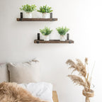 Farmhouse Black Artificial Plant — 6" - View 5