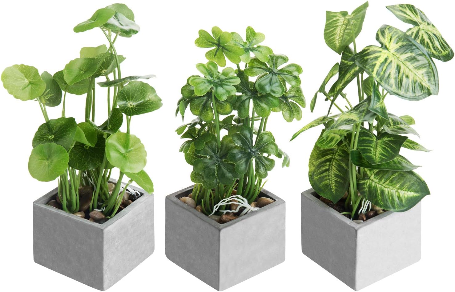 Black Faux Plant — 5" — Grey