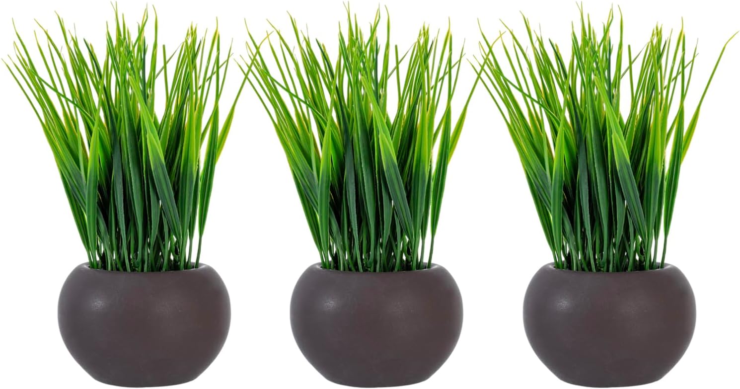Round Modern Black Artificial Plant — 7" — Dark Brown