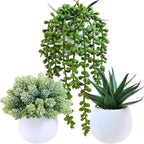 Black Artificial Plant — Set of 3 — White Pots