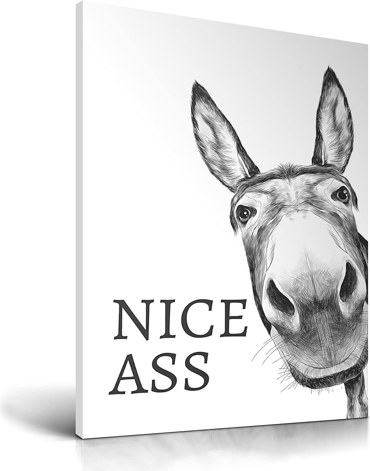Framed Black Canvas Wall Art — 16" — Donkey Black and White