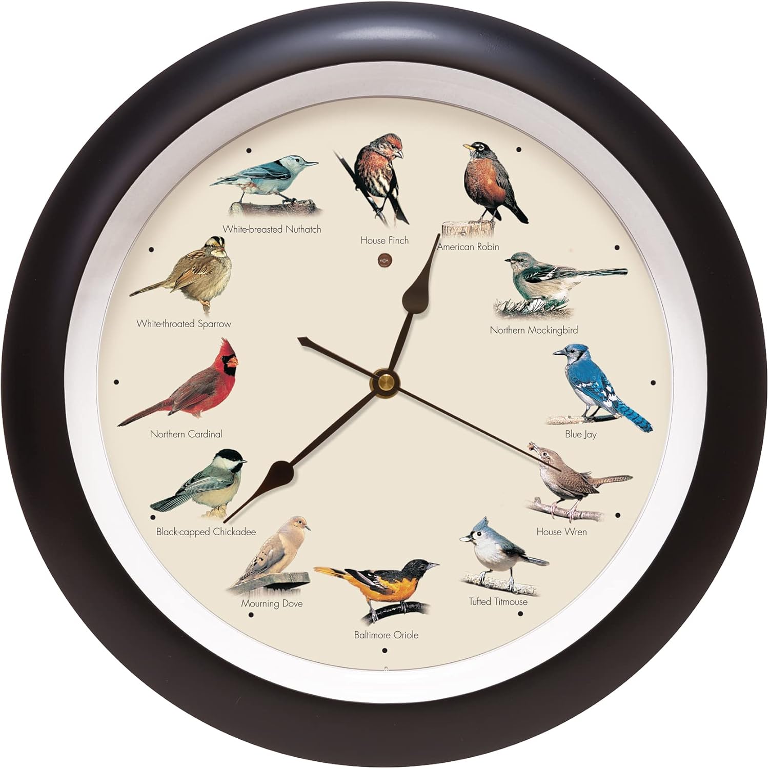 Black Wall Clock — 13" — Black