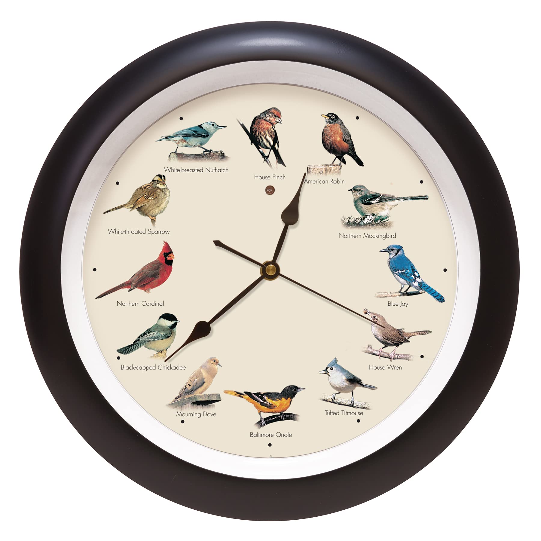 Black Wall Clock — 13"