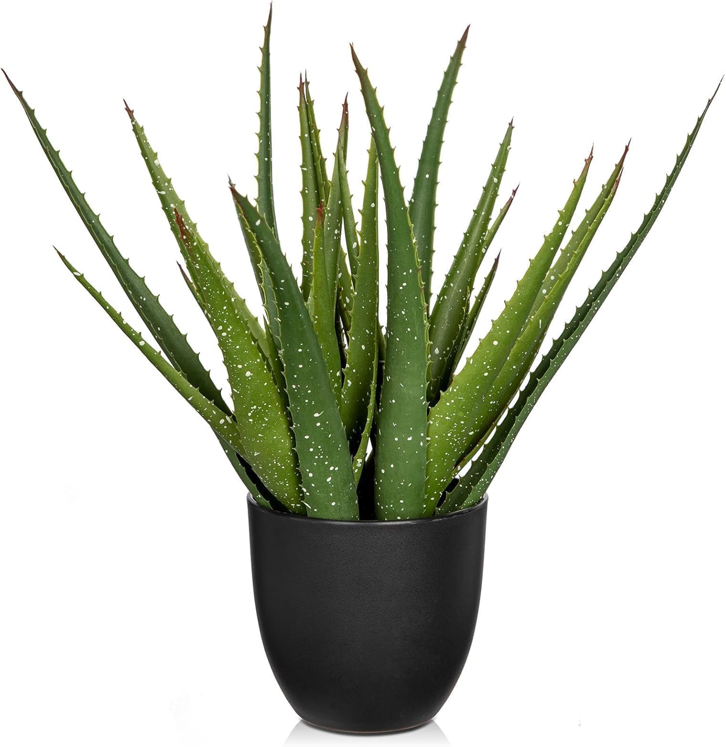 Black Faux Succulent — 13" — Green