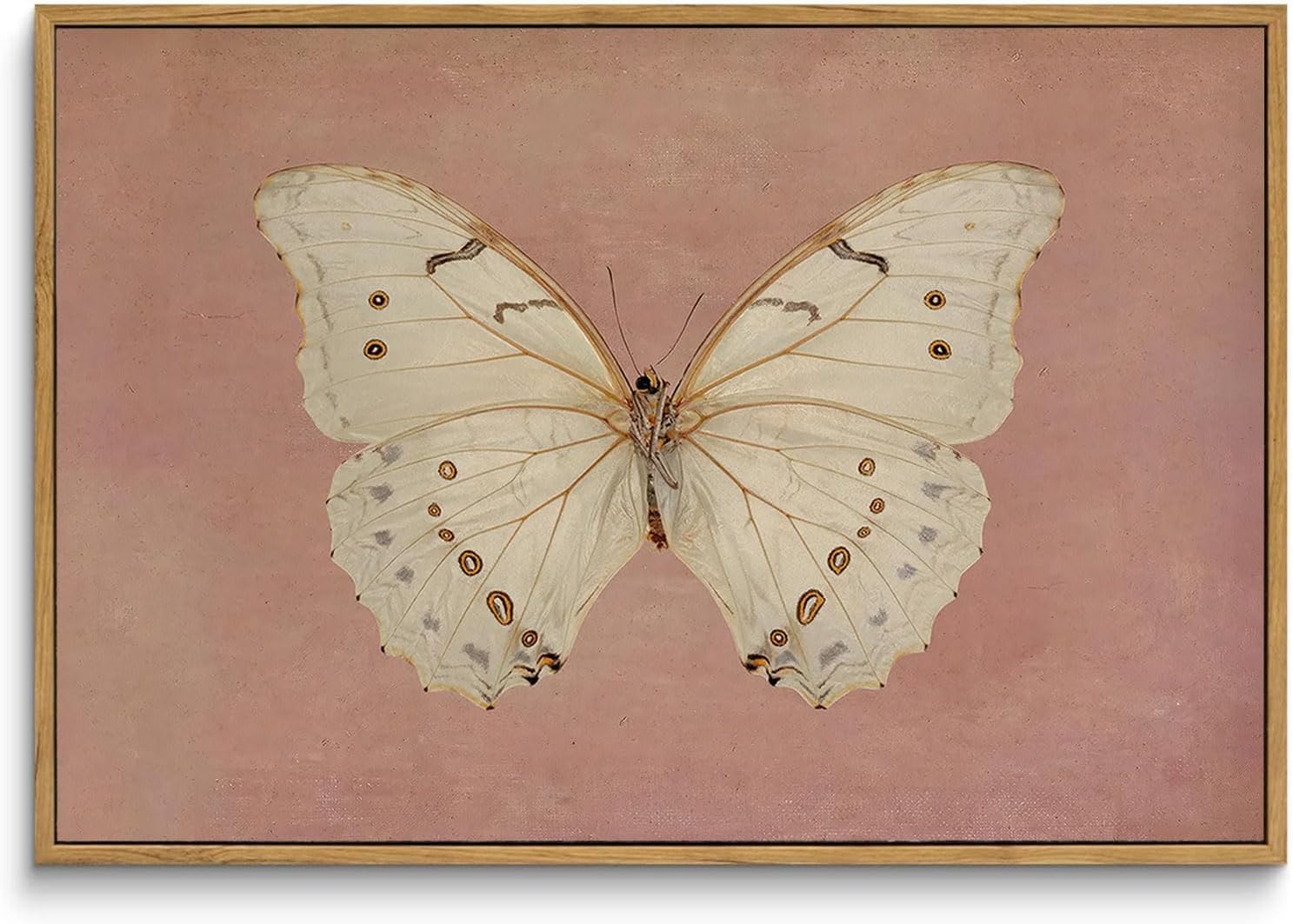 Framed Farmhouse Black Canvas Wall Art — 10" — Butterfly