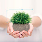 Farmhouse Artificial Plant - View 3