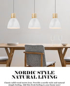 Modern Black Pendant Light - View 8