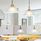 Dimmable Farmhouse Black Pendant Light - View 5