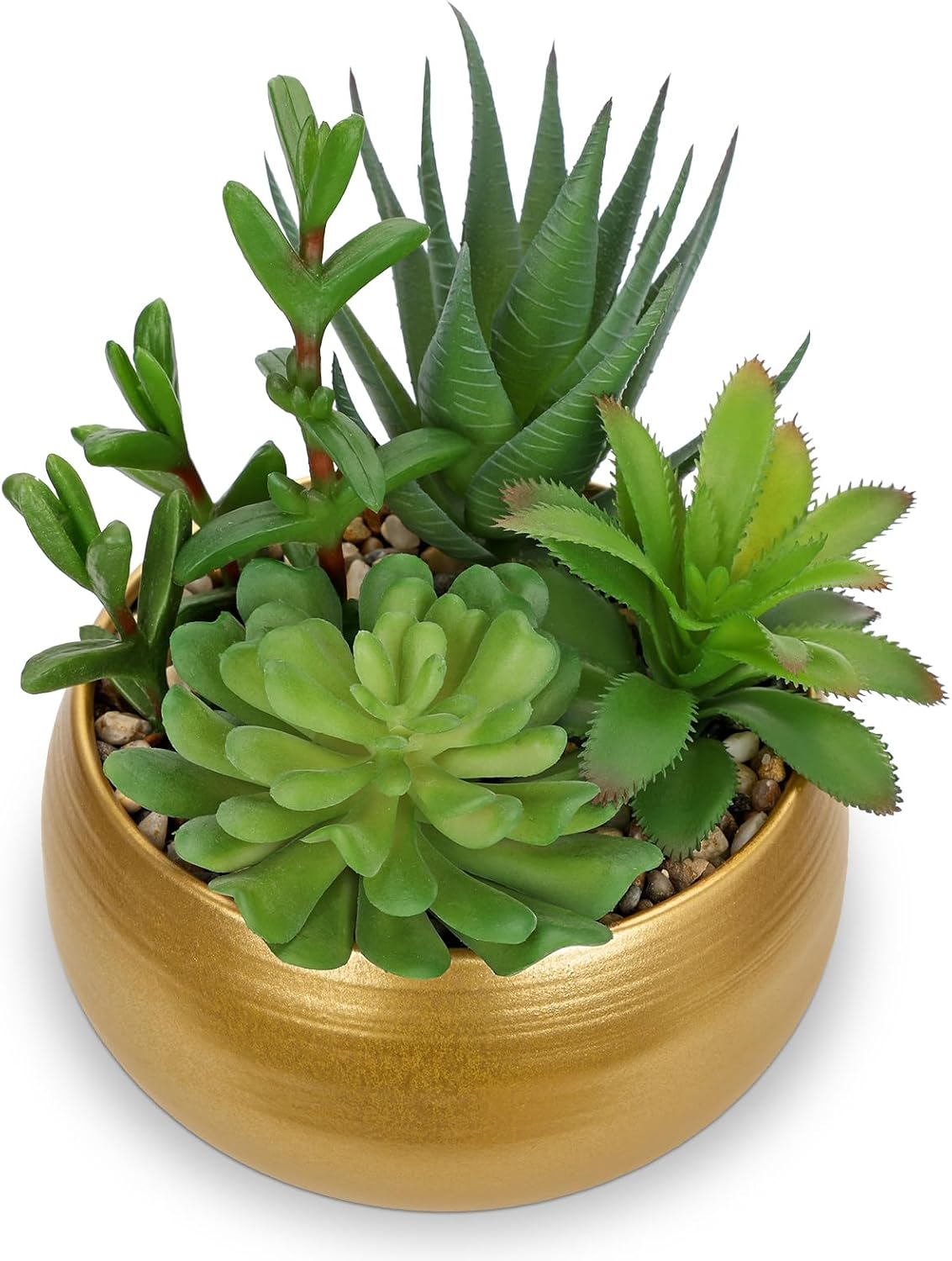 Black Faux Succulent — Matte Gold