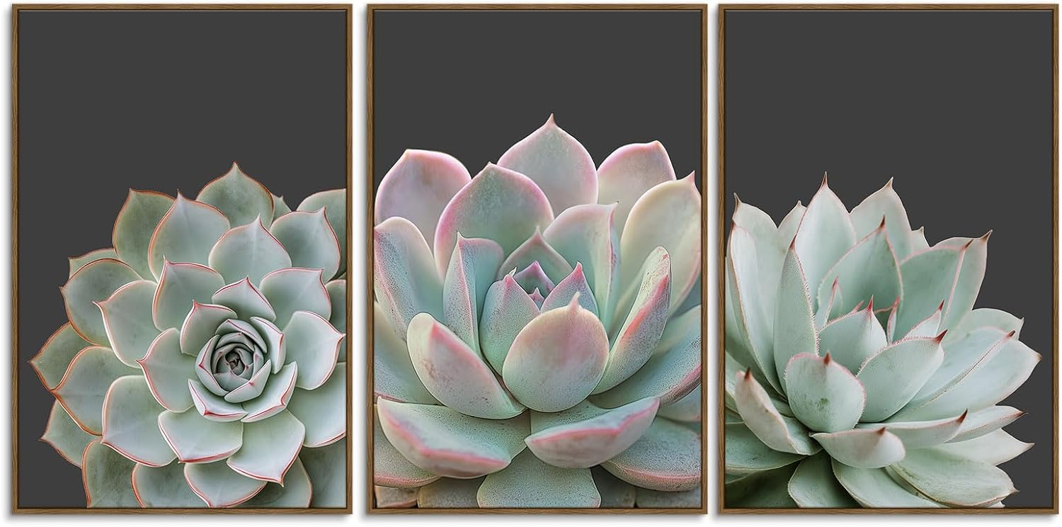 Framed Modern Black Wall Art — 12" — Succulent