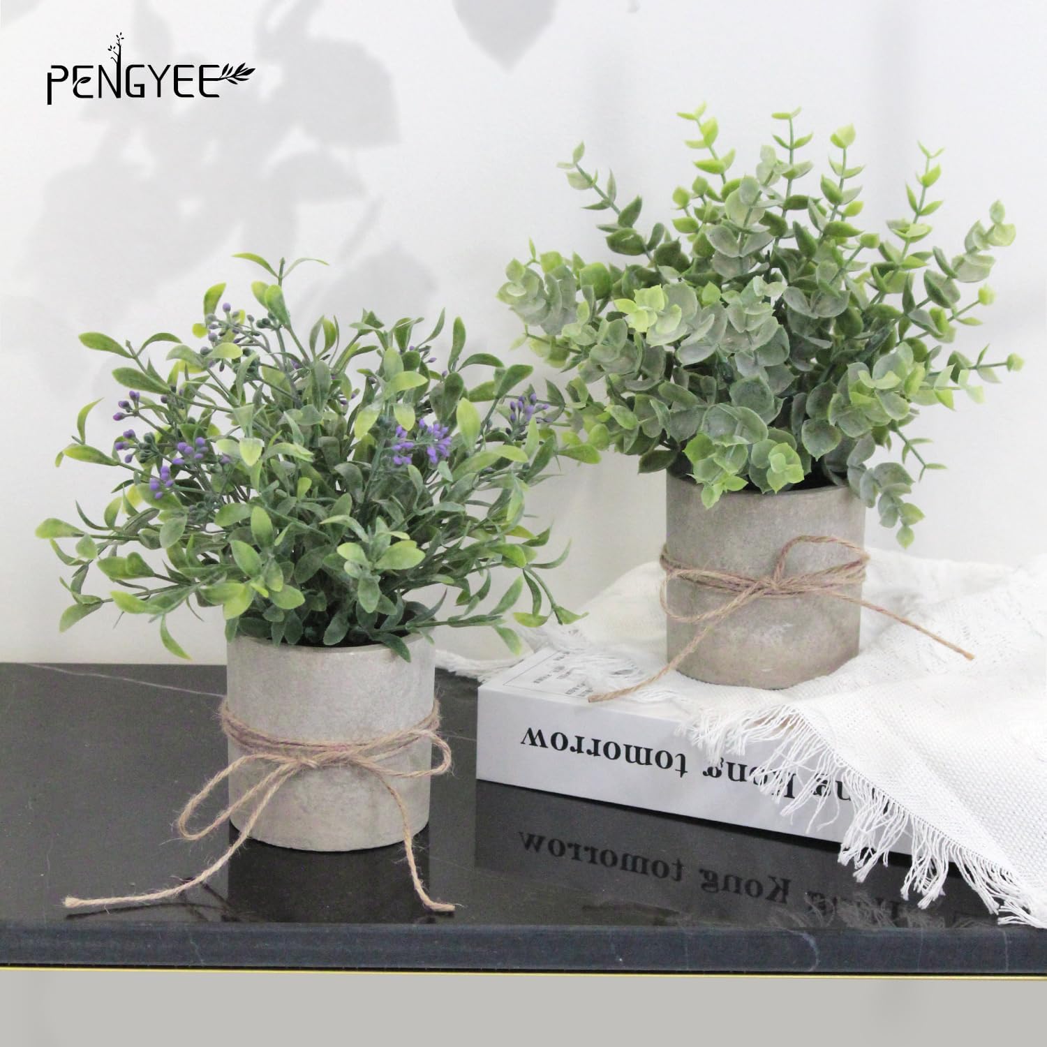 Farmhouse Faux Plant - View 2