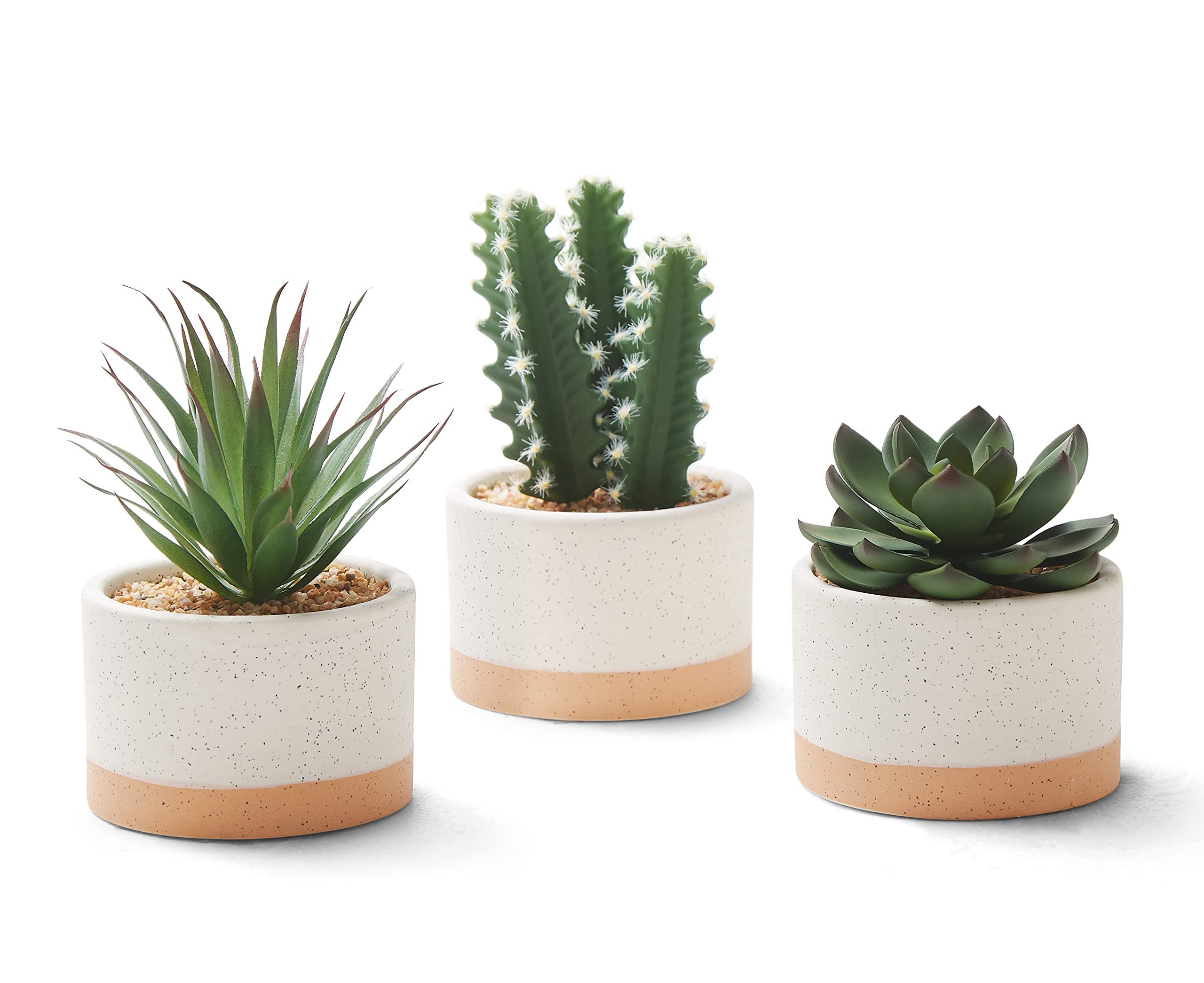 Black Artificial Plant — Set of 3