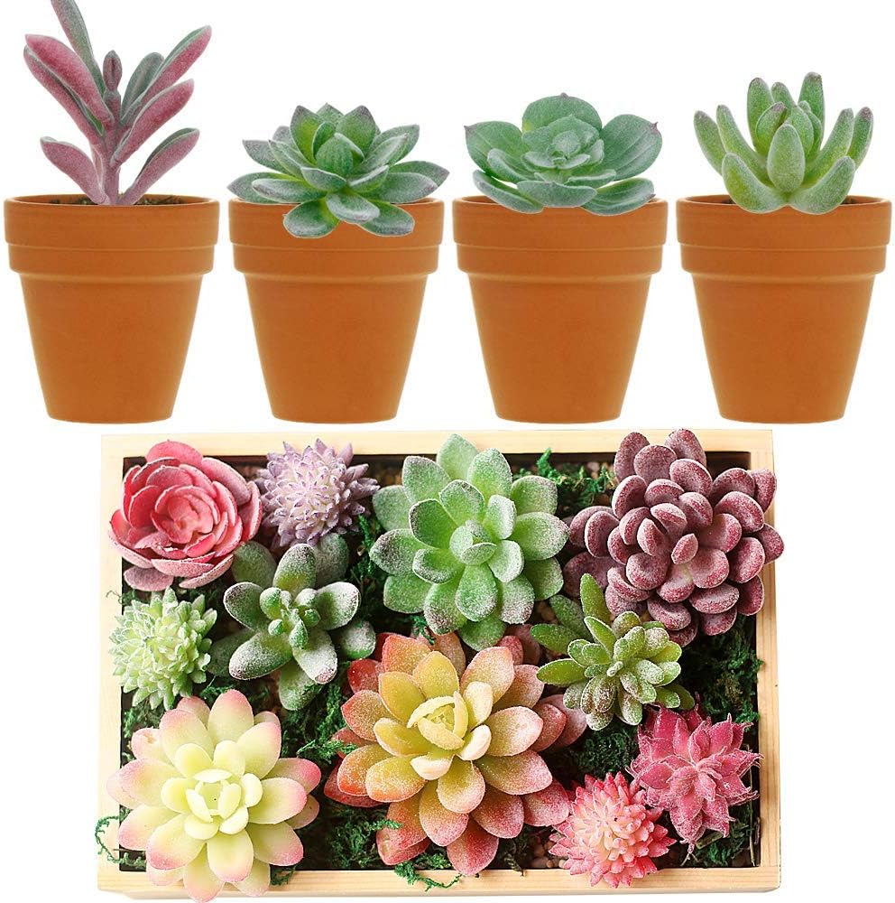 Green Faux Succulent — 5" - View 4
