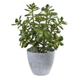 Artificial Plant