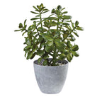 Artificial Plant