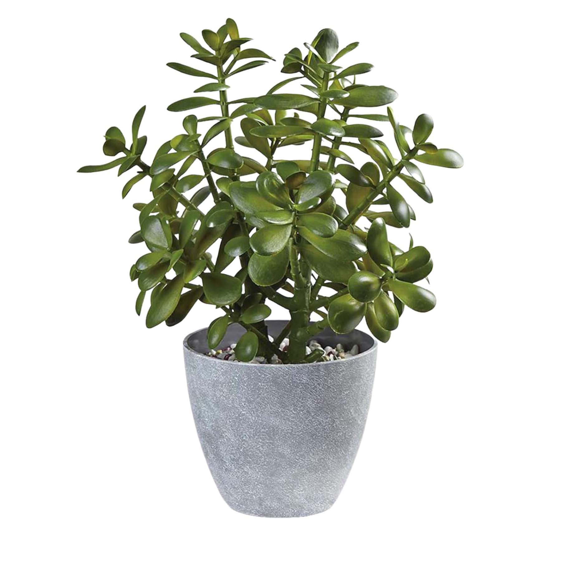 Artificial Plant