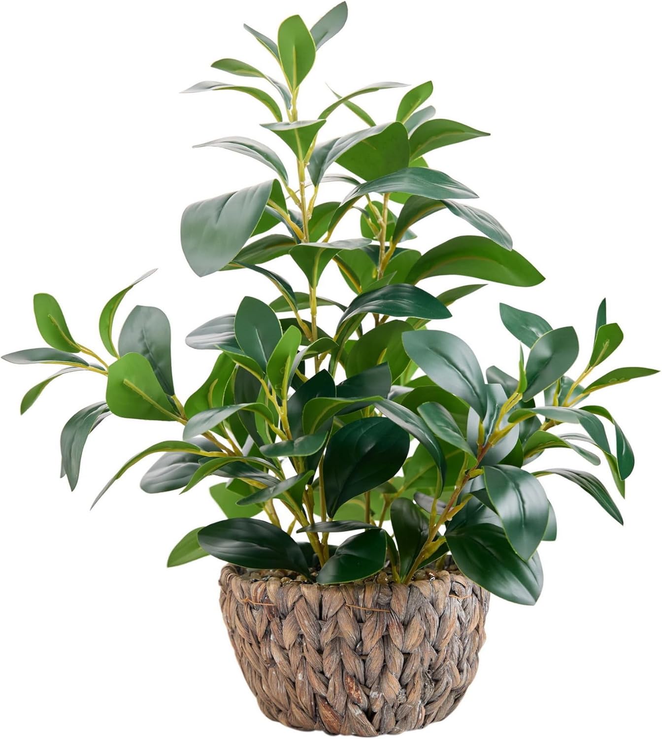 Farmhouse Green Artificial Plant — 12.8" — Green Ficus Plant 18.8" H