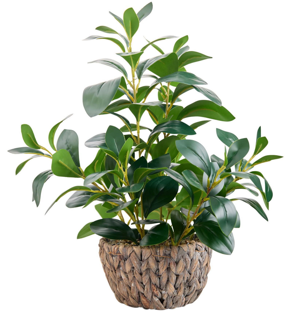 Boho Green Artificial Plant — 18.8"