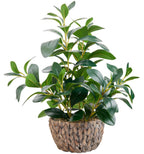 Boho Green Artificial Plant — 18.8"