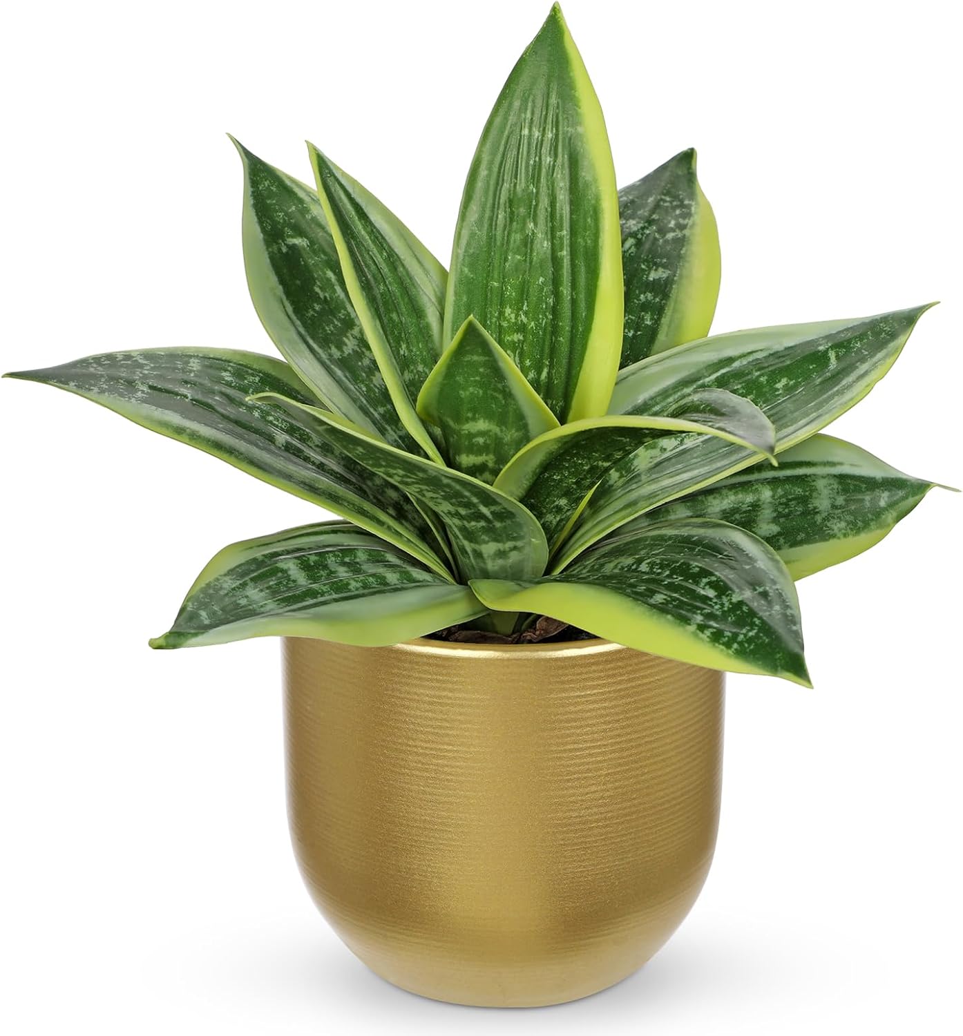 Modern Black Artificial Plant — 9" — Green #3-gold Pot