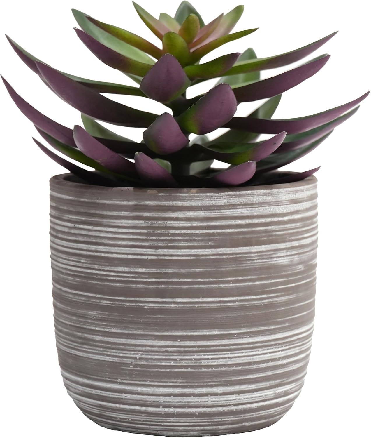 Beige Faux Plant — 6.7" — Natural Succulent in Gray Cement Pot
