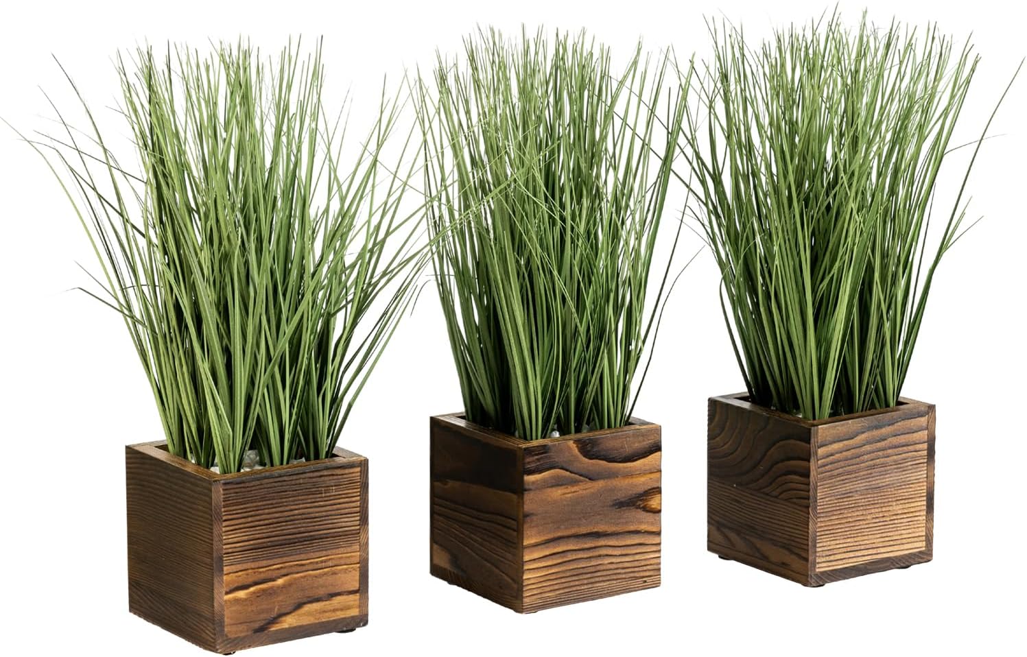 Black Faux Plant — 5" — Burnt Wood