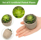 Green Faux Succulent — Set of 5 - View 3
