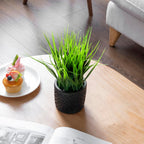 Round Modern Black Artificial Plant - View 3